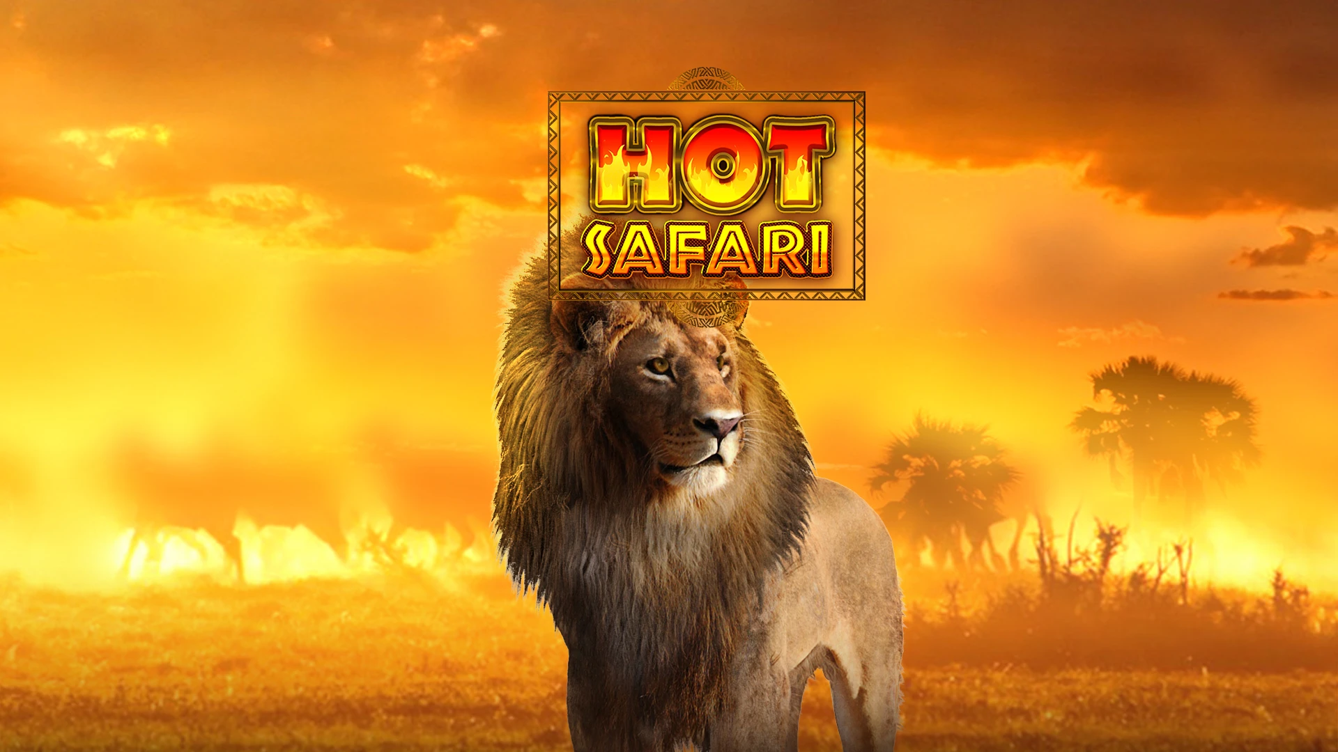 Hot Safari Slot: A Wild Adventure with Big Wins